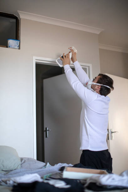 Best Attic Mold Removal  in St Francis, KS