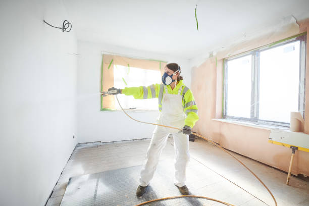 Best Basement Mold Removal  in St Francis, KS