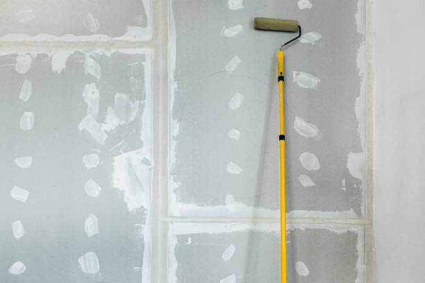 Best Industrial Mold Remediation  in St Francis, KS