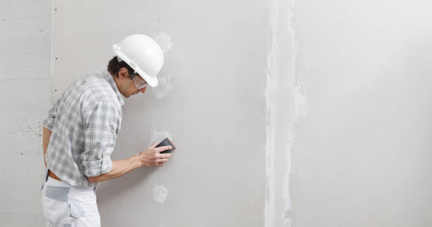 Best Commercial Mold Inspection  in St Francis, KS