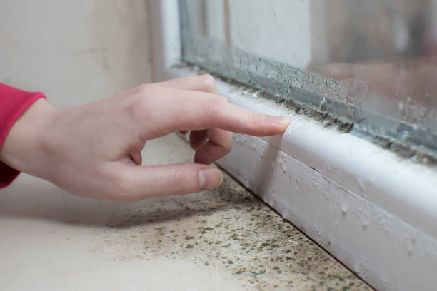 Dehumidification Services in St Francis, KS