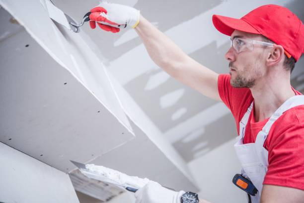 Reliable St Francis, KS Mold Removal Solutions