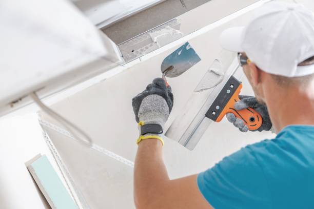 Best Environmental Consulting for Mold Prevention  in St Francis, KS